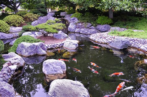 佳河錦鯉園|佳河錦鯉多肉園Koi Garden│佳河錦鯉園》多肉植物迷。